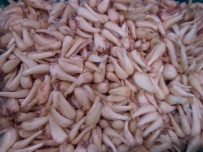 季節限定商品。